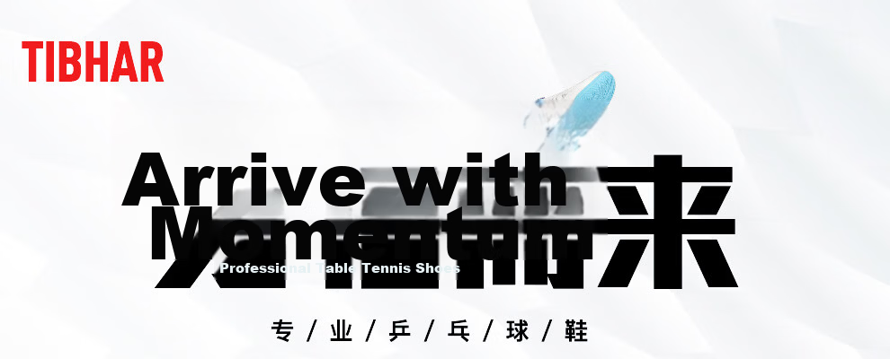 TIBHAR Table Tennis Shoes New Anti-Slip Sports Shoes Unisex Training Lightweight Breathable 02516 White/Blue Size 44 1