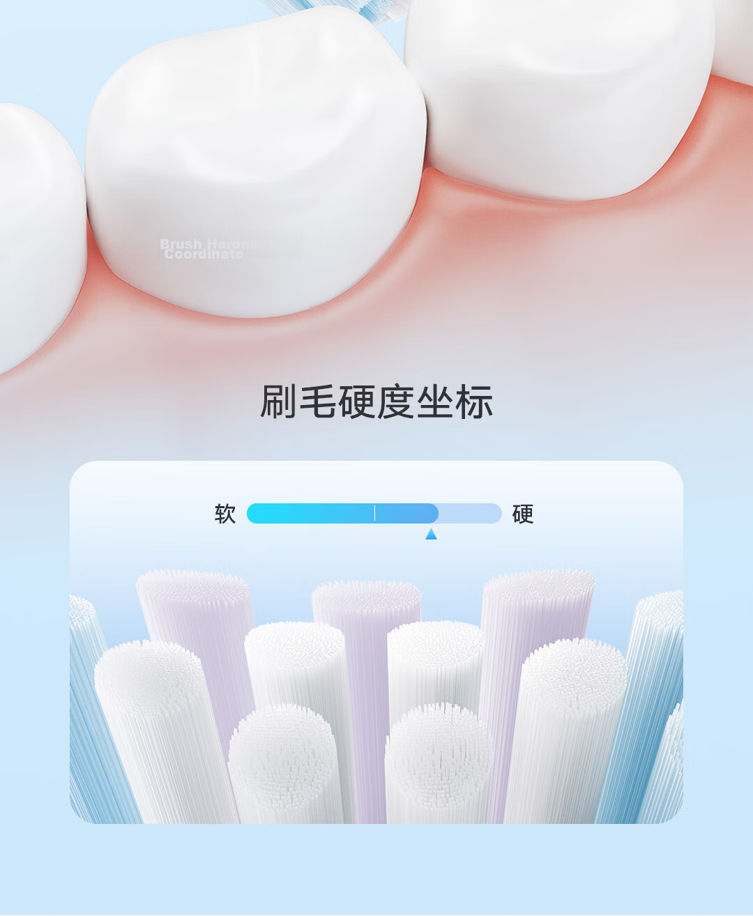 Mijia Xiaomi Sonic Electric Toothbrush Heads (All-Effect Whitening) 2-Pack Black Birthday Compatible with T501/T501C 9