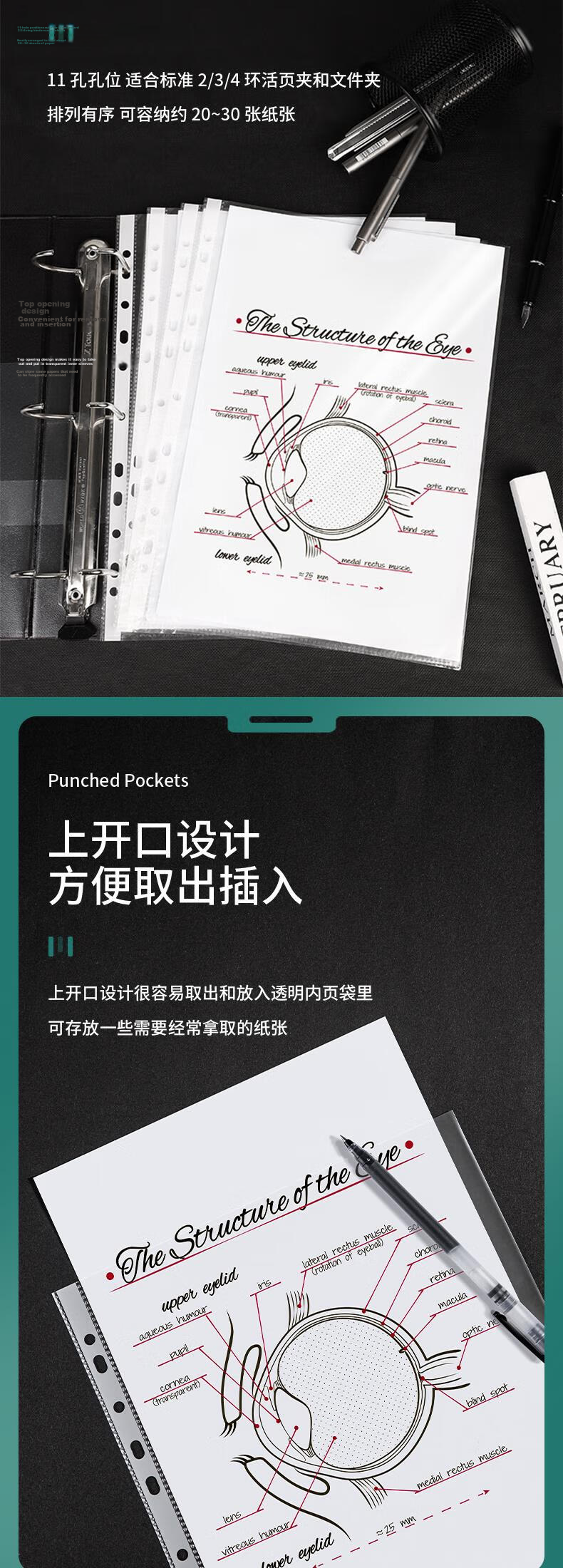 Deli Store Manager Recommended 100pcs 11-Hole Document Refill Bags Transparent File Folder Inserts for Invoice and Archive Storage Compatible with Loose-Leaf Binders 5712 3