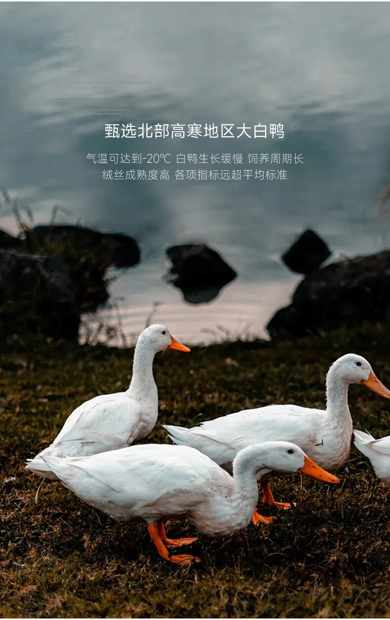 Sinuoman [Warm Core] 90% White Duck down Duvet Insert, Spring And Autumn Comforter/heater Blanket, 200*230cm, 510g Filling, White 11