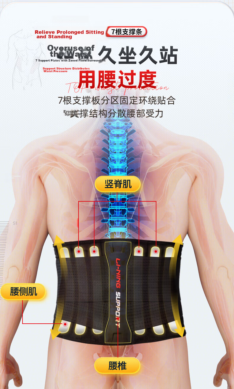 Li-Ning Summer Sports Waist Support Belt for Lumbar Disc Herniation, Muscle Strain, Prolonged Sitting, Running, Deadlift, Waist Compression and Spine Support 6