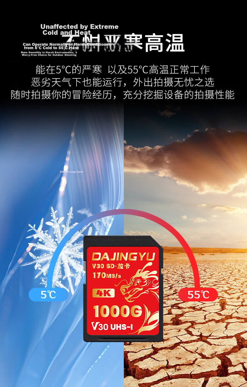 DAJINGYU Big Whale SD Card V30 64GB Camera Memory Card High Speed DSLR Storage Card Compatible with Sony A1/ZV-E1/A7M4 Nikon Canon Fujifilm Panasonic 4