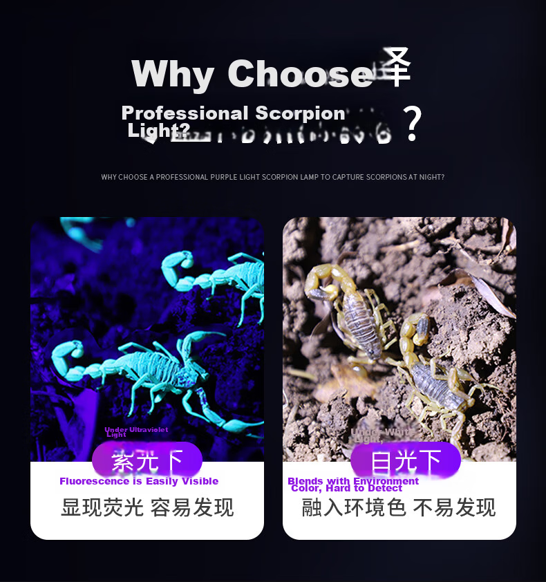 SHENYU Scorpion Lamp Dual Light Source UV Money Detector Flashlight High Brightness Long Range Rechargeable Outdoor Long Battery Life Cicada Catching Light 3