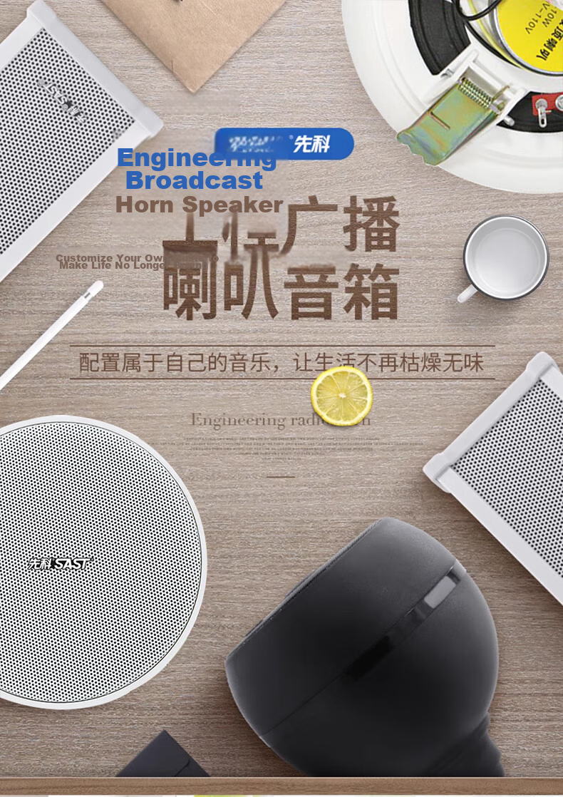 SAST 8-Inch Ceiling Speaker Set 120W Constant Voltage Amplifier Public Address System Ceiling Mount Home Mall Store Conference Background Music Combo Speaker One-to-Four 2