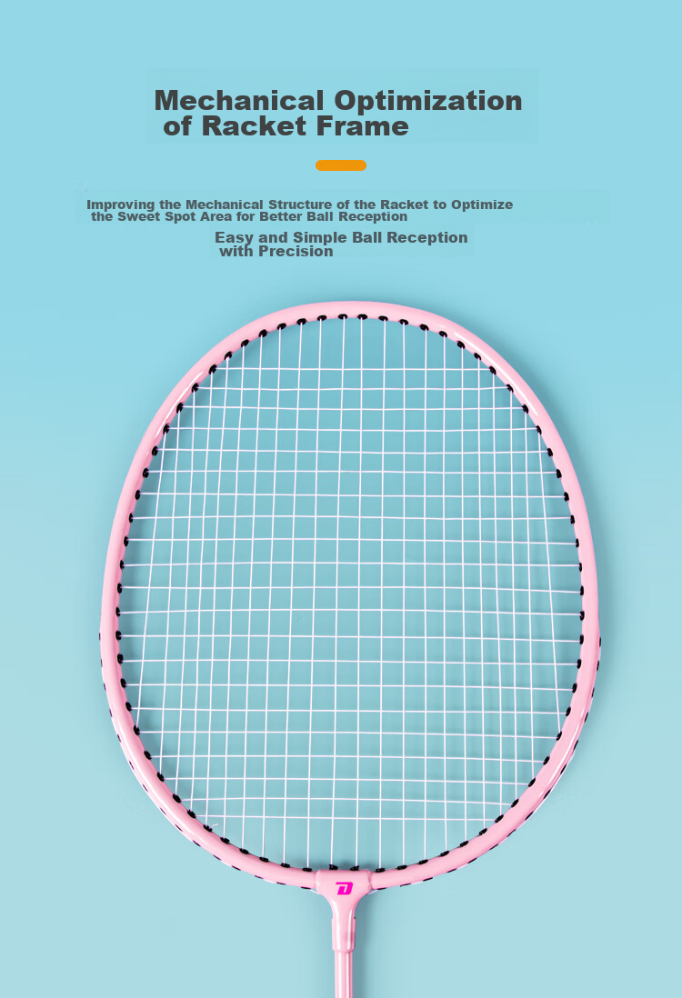 DHS DHS Badminton Racket Pair for Beginners, Double Rackets for Entry-Level Training, Alloy Model EG100 3