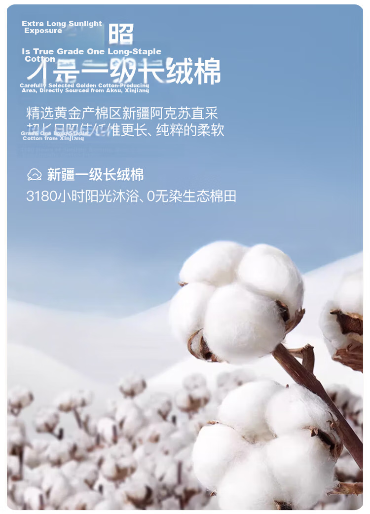 MUJI Xinjiang Cotton Quilt Pure Cotton Comforter All Cotton Spring Autumn Winter Quilt 200x230cm 6 Jin 3