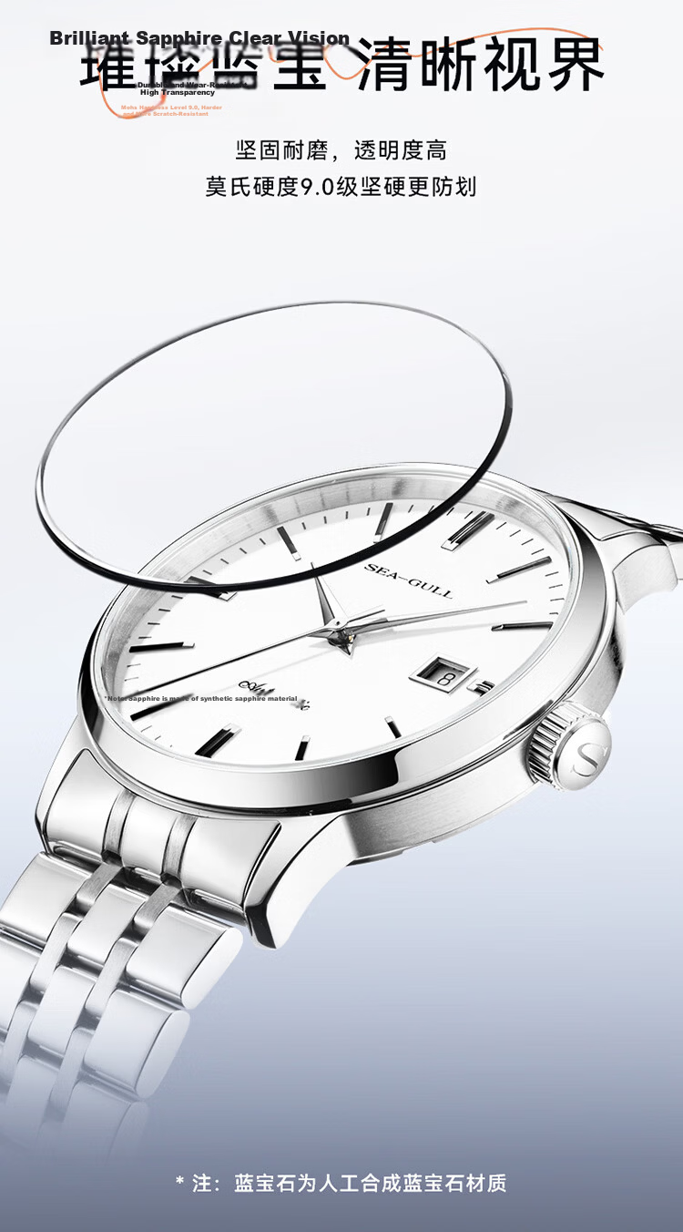 SEAGULL Men's Automatic Mechanical Watch with Date Display, Steel Strap Men's Watch, Birthday Gift for Men, Model 6613 White Dial Roman Numeral 9