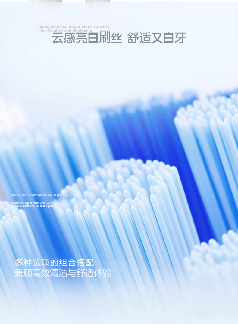 Dongnailun Compatible with Xiaomi Electric Toothbrush Heads T200/T200C Sonic Electric Toothbrush Heads, Pack of 6, Standard Cleaning Type 6