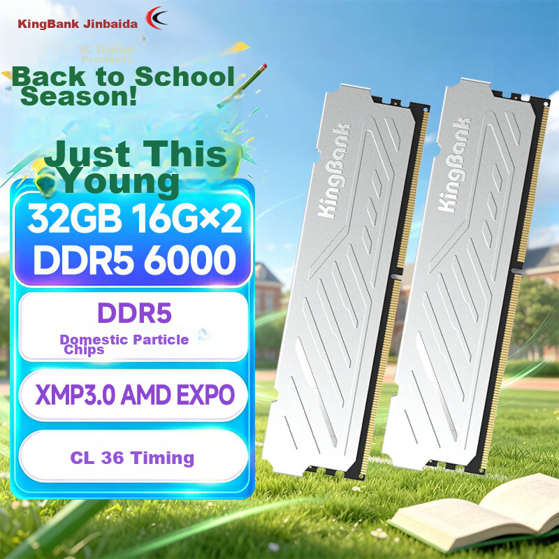 KINGBANK 32GB (16GBx2) DDR5 6000 Desktop RAM Silver Edition C36 Deepseek Hardware