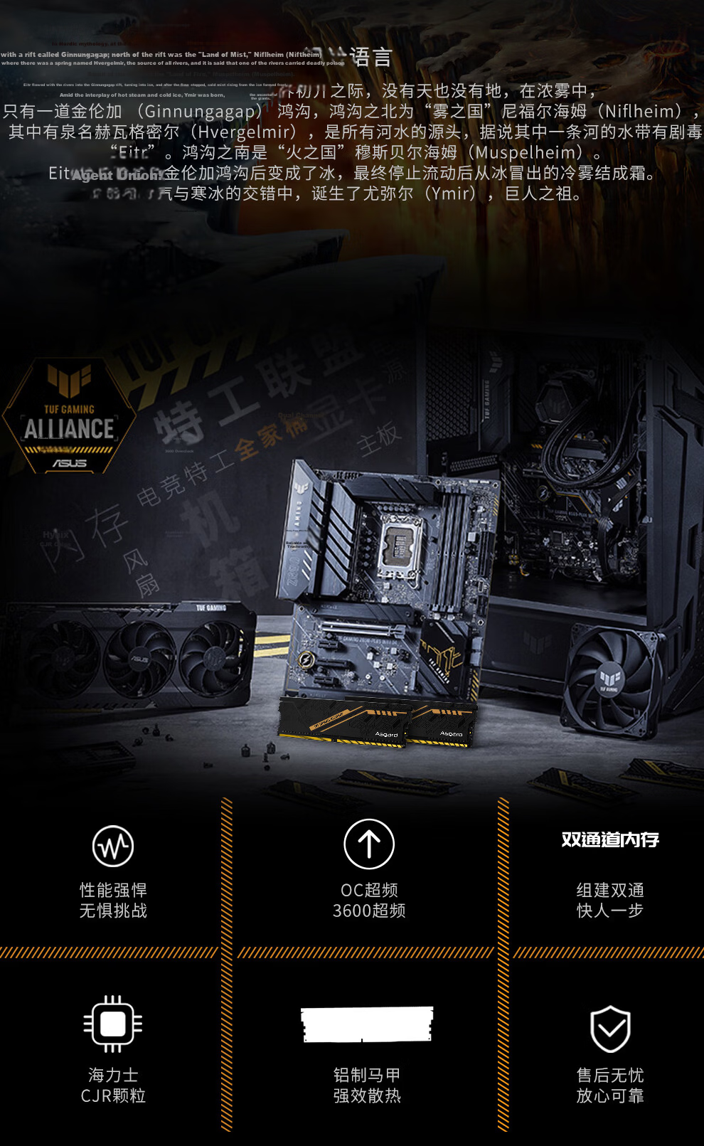 Asgard 32GB (16GB X 2) DDR4 3200 Desktop Memory Module, Jinlun Jia & TUF Co-Branded Edition, Heat Spreader, Selected Chips, CL18, Black Orange Armor AI Computer Accessory 3