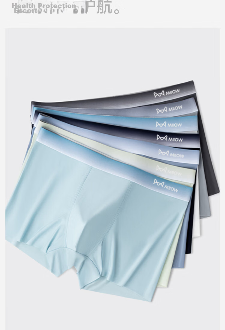 MiiOW Men's Ice Silk Underwear Summer Thin Antibacterial Boxer Briefs 10A 15