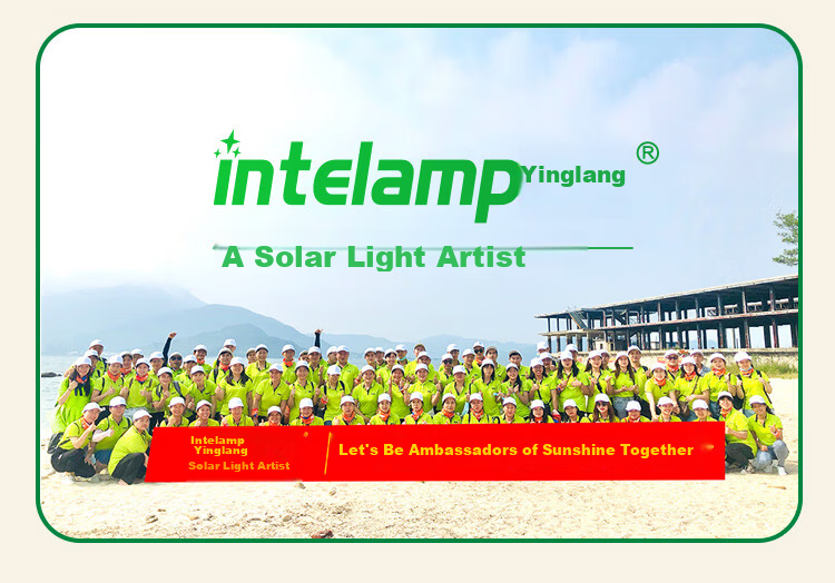Intelamp Solar Lawn Light, Garden Villa Garden Home Waterproof Outdoor Ground Stake Grass Light, Atmosphere Decorative Landscape Light 21