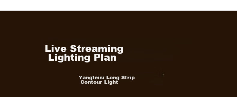 Yangfeisi 90W Linear Contour Light LED Photography Top Light Soft Beauty Fill Light for Live Streaming Studio Indoor Jewelry Photography 16