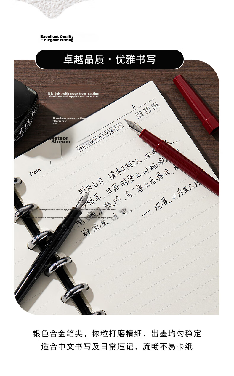 PILOT Fine Long Pen Fountain Pen for Male And Female Hand-Drawing Sketching Calligraphy Practice Students Adults Fountain Pen DPP-70 F Nib Red 4