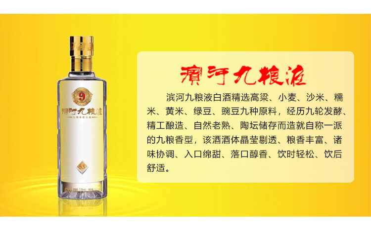 甘肃特产滨河九粮液53度500ml九粮香型白酒500ml2瓶送手提袋1个