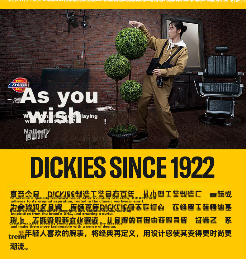 Dickies Women's Backpack Large Capacity School Bag for High School Students Multi-Compartment Casual Travel Laptop Bag 22