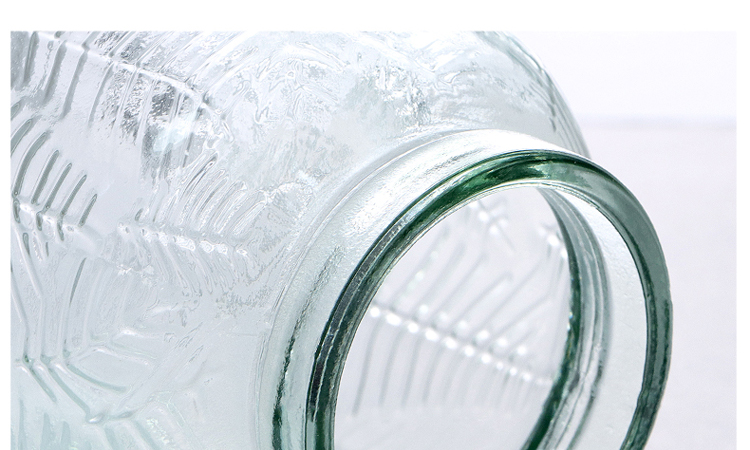 Jidukongjian Glass Vase, Flower Arrangement Vase, Hydroponic Plant Ecological Bottle, Transparent Desktop Vase for Living Room And Office Desk, Home Decor Ornament 18