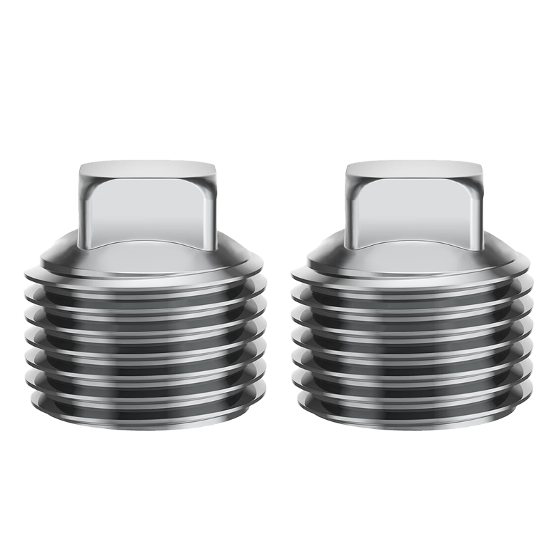 Muvi Stainless Steel External Thread Plug, Internal Thread Pipe Plug Cap, 1/2 Inch, 2-Pack, DT001-2