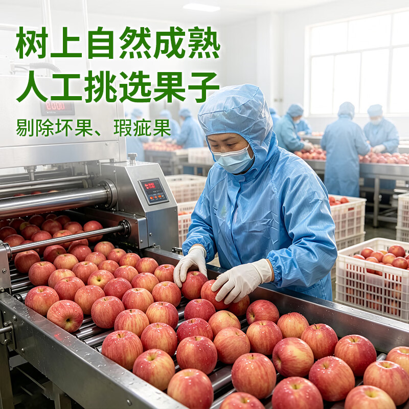 唐妖食品倒蒸苹果干250g【独立小包装】无添加剂果脯烟台红富士休闲零食