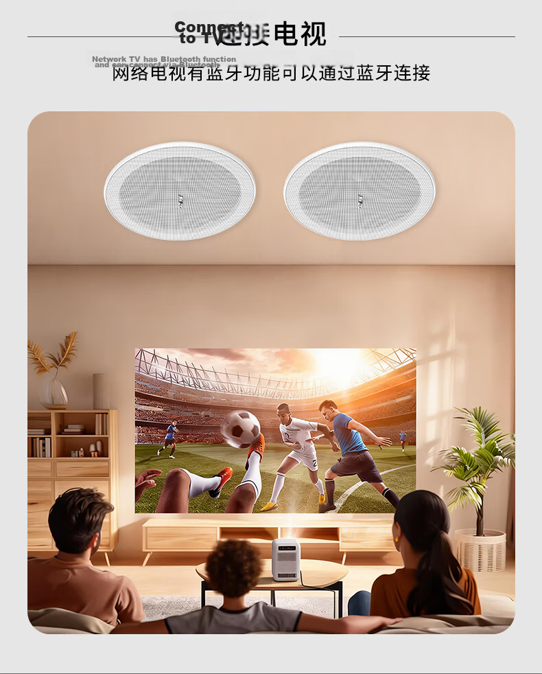 SAST G3 Wireless Bluetooth Ceiling Speaker Embedded Built-in Amplifier Commercial Store Indoor Background Music Speaker Set Conference Broadcasting System Host 3