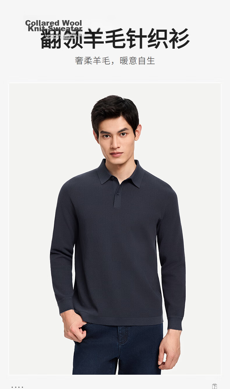 Goldlion Wool Blend Autumn Winter Long Sleeve Knit Sweater Men Solid Color Fashion Textured Pullover Blue Gray XL 20