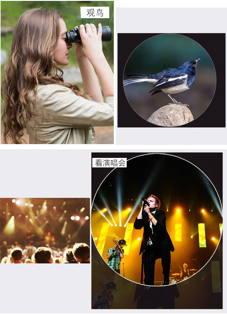 FEIRSH Monocular Telescope, High Magnification, High Definition, Low Light Night Vision, Bird Watching, Star Gazing, Smartphone Telephoto Camera, T17-1 17