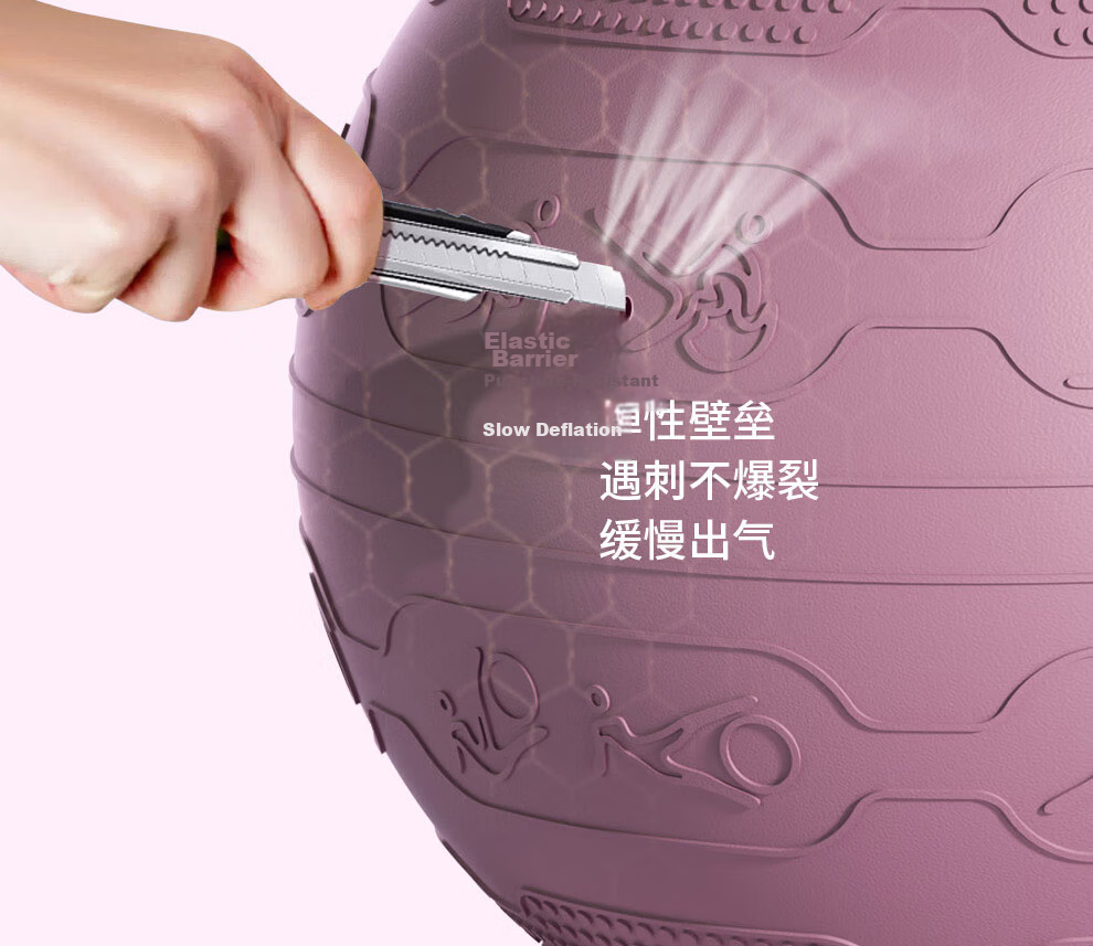 PROIRON Puli'ai Yoga Ball for Pregnant Women's Pelvic Floor Muscles, Baby Squatting, Infant Sensory Integration Training, Large Dragon Ball 65cm Blue 10