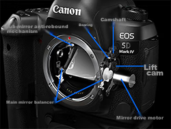 Canon [Official Flagship] 5D4 Full-Frame DSLR Camera, 4K High-Definition Video Shooting, Portrait And Landscape Photography, Canon Retro Flagship Camera, Canon 5d4 Body 9