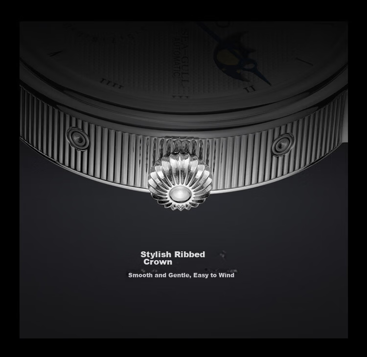 SEAGULL Men's Automatic Mechanical Watch Moon Phase Calendar Power Reserve 6092 Black Night Birthday Gift 20
