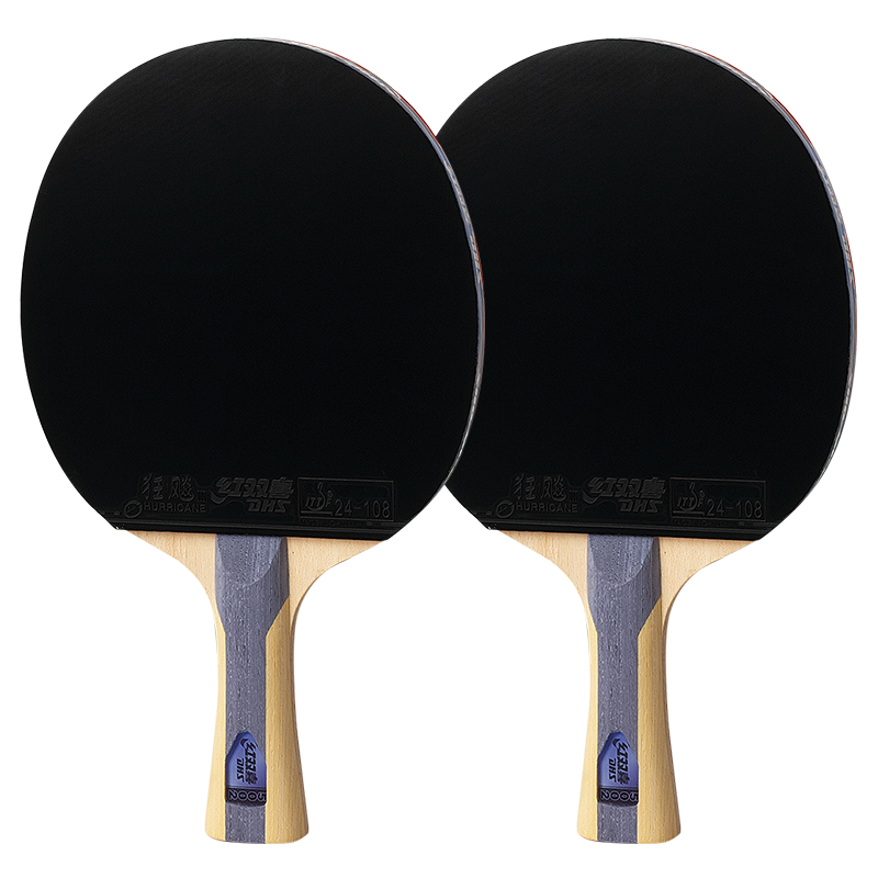 DHS Table Tennis Racket, Five-Star Penhold Grip, Pairs of Rackets with Racket Case + Table Tennis Balls