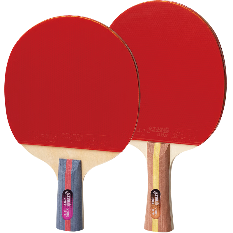 DHS Table Tennis Racket, Two-Star Training And Competition F2002+F2006, Penhold And Shakehand Table Tennis Paddles, with Racket Case