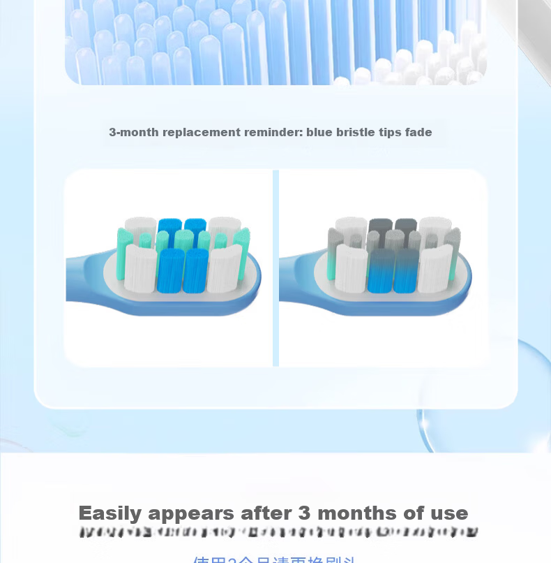 Dongnailun Compatible with Xiaomi Electric Toothbrush Heads T200/T200C Sonic Electric Toothbrush Heads, Pack of 6, Standard Cleaning Type 10