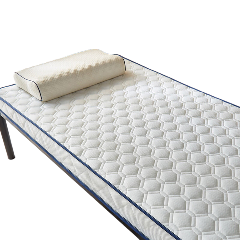 Wuyinliangpin Mat for Mothers And Babies, Students, Dormitory Bunk Beds, Bed Cover, Single Size 100x190cm, Noble Thickened Versio