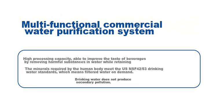 Everpure Kitchen And Restaurant Instant Water Dispenser, Filter And Drink Instantly, Zero Electricity, Zero Waste Water, 3 Liters/minute, 3000L Water Production Capacity, Commercial Water Purifier Twin MH2-Plus 7