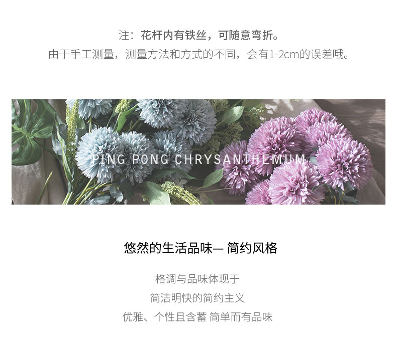乒乓菊_04.jpg