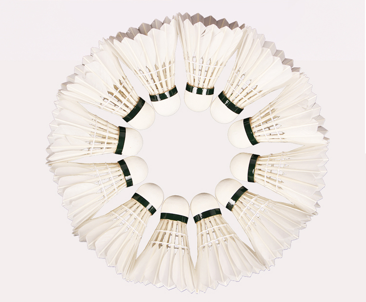 YONEX Professional Badminton Competition Shuttlecocks, High-Quality Durable Stable AS-20, 12-Pack Selected Goose Feather Shuttles, 2-Speed 6
