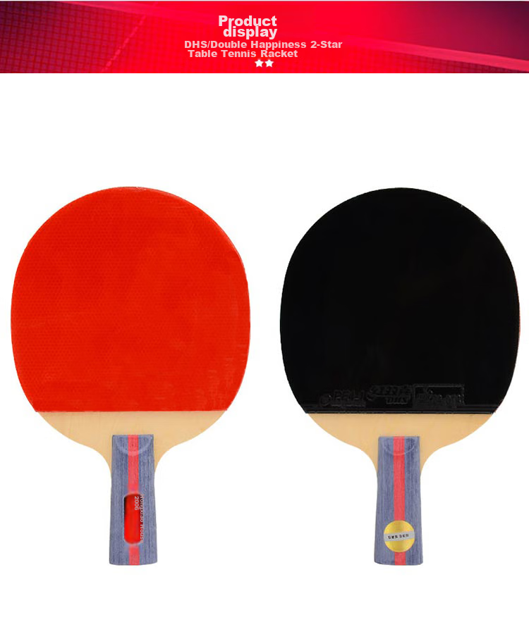 DHS Table Tennis Racket, Two-Star Straight Handle, Single Racket F2006, Includes Racket Case + Ping Pong Ball 6