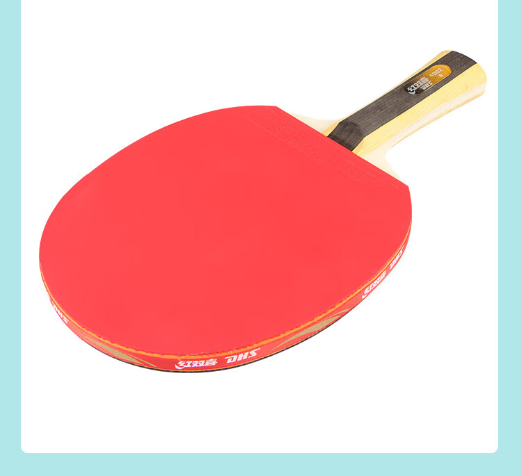 DHS One-Star Penhold Table Tennis Racket H1002 with Ball Bag And Ping Pong Balls 11