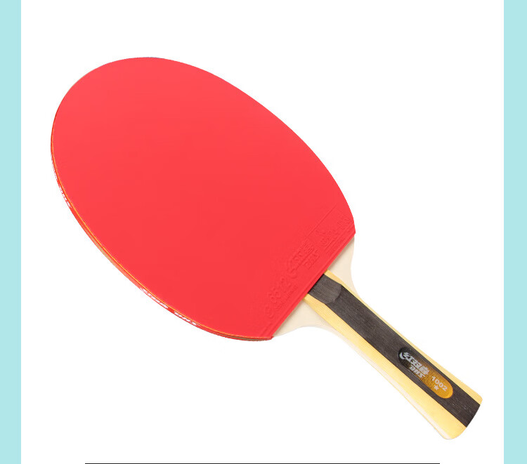 DHS One-Star Penhold Table Tennis Racket H1002 with Ball Bag And Ping Pong Balls 9