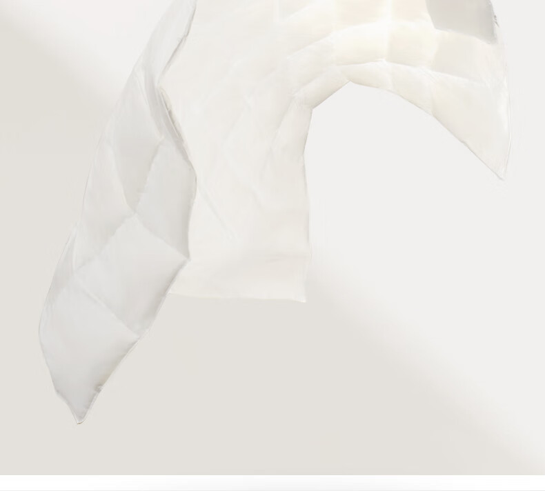 Interlagos Class A 90% White Goose Down Comforter, Imported from Japan, Air Conditioning Quilt, 280g, 200*230cm, White 13