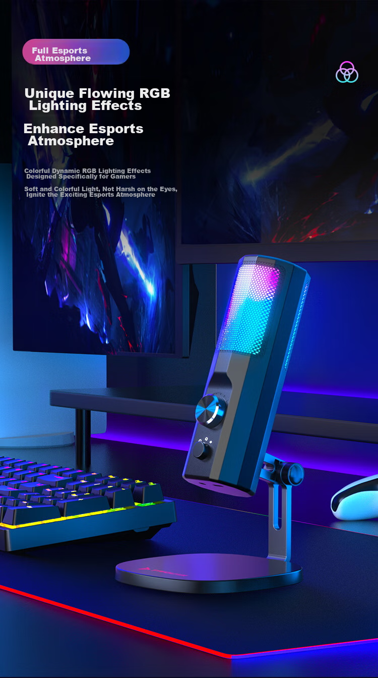 Taidu TSP201 Xingchuan F1 Computer Microphone, Desktop Microphone, USB Port, RGB Lighting Effects, Black 4