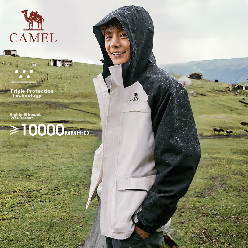 CAMEL (CAM-01244796