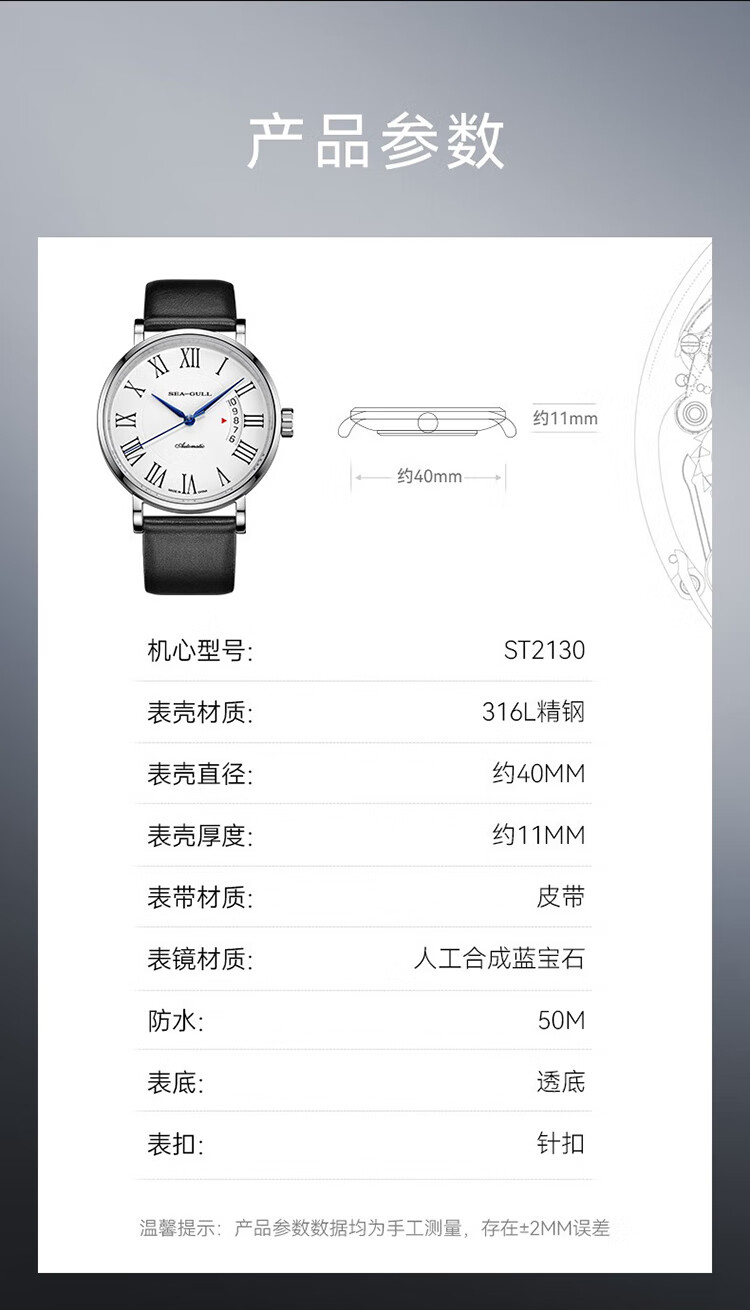 SEAGULL Men's Automatic Mechanical Watch, Bauhaus Date Display Men's Watch, Birthday Gift for Men, Model 6091 17