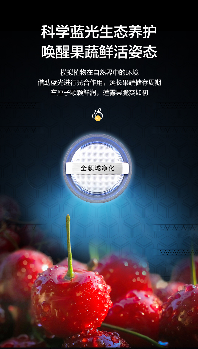 Hisense 海信 变频一级能效 十字对开门冰箱 450L 图11