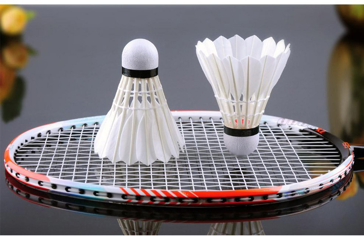 RSL Badminton Training Practice Shuttlecocks DTL-82, 12 Pieces Per Tube 5