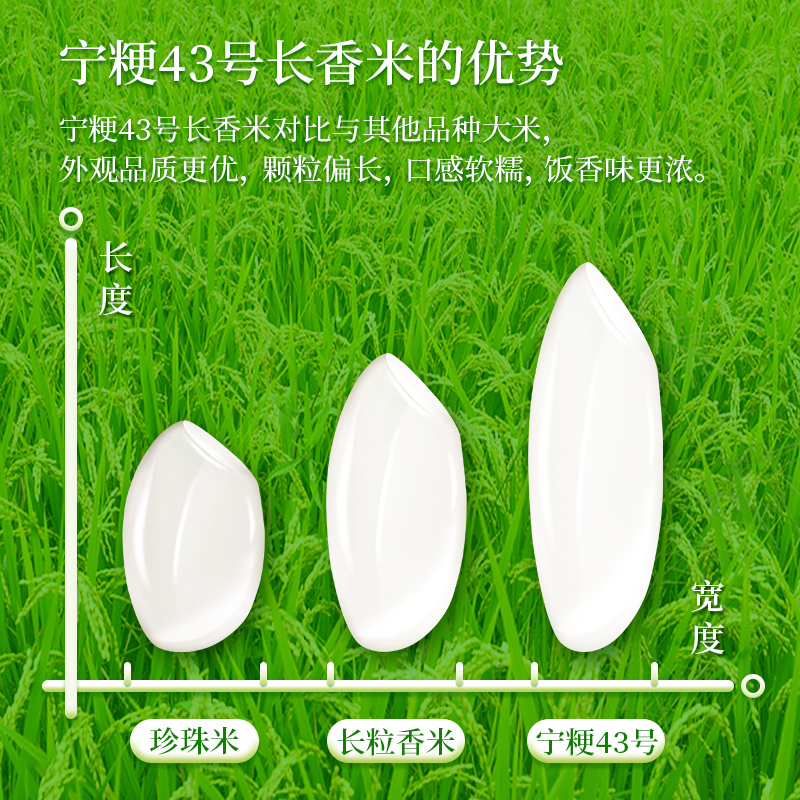 昊帅宁粳43号长粒香米2025年新米真空包装 正宗宁夏大米粳米20斤家庭