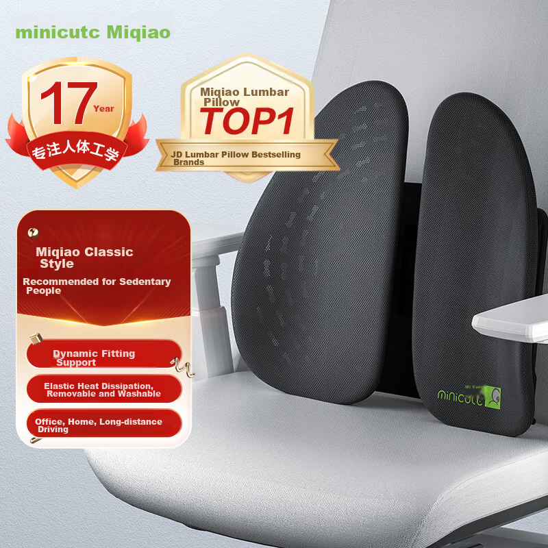Minicute Ergonomic Lumbar Support Cushion, Back Pillow for Office And Car, Waist Pad to Protect Spine, Mid-Autumn Festival Gift