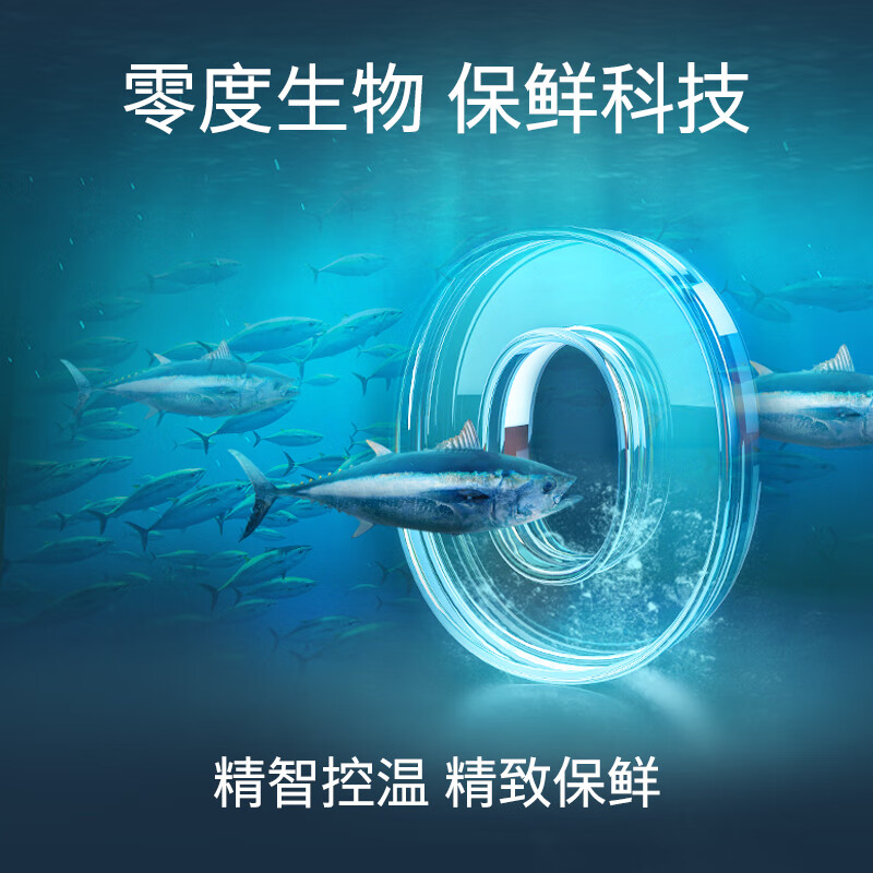 西门子（SIEMENS） 569升对开三门冰箱 大容量 混冷无霜 零度保鲜 KA96FA12TI