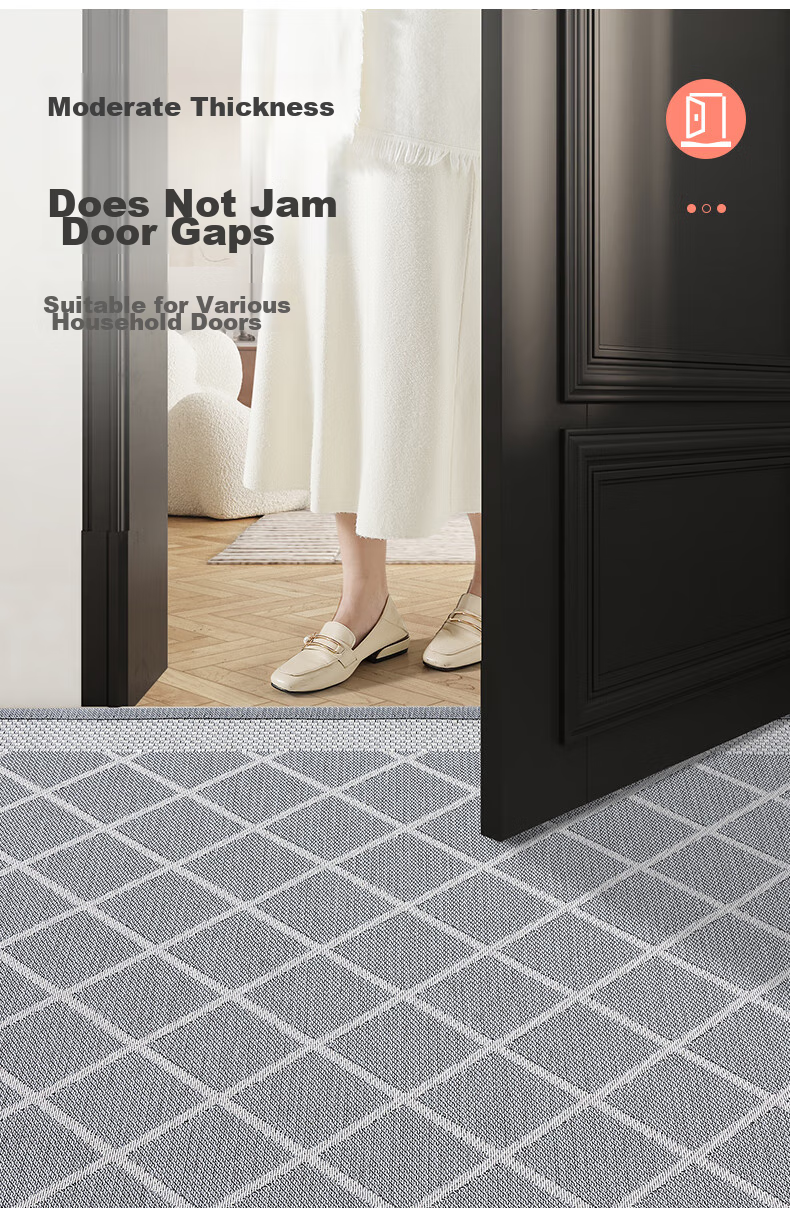 Dajiang Entrance Door Mat 2026 New Model Doorway Floor Mat Carpet 60x90cm 10