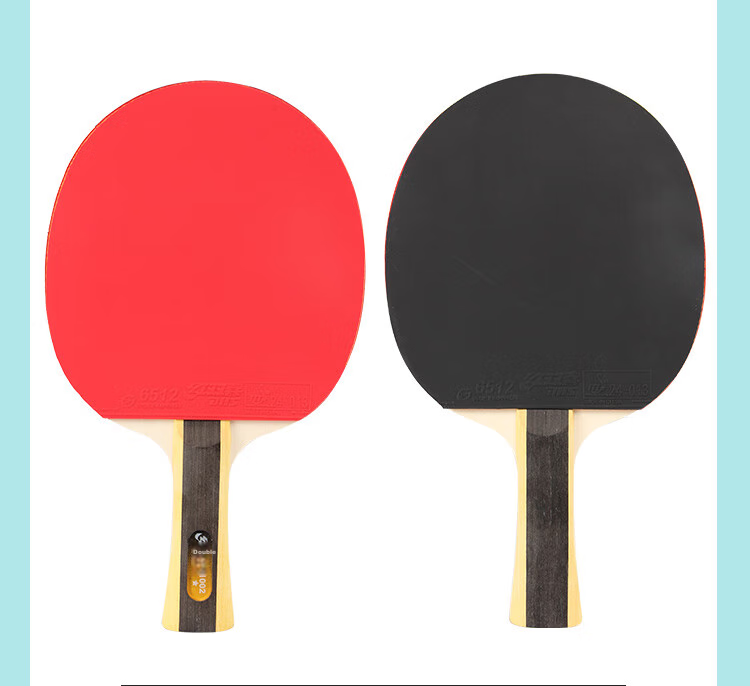 DHS One-Star Penhold Table Tennis Racket H1002 with Ball Bag And Ping Pong Balls 8